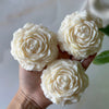 Peony Candles (set of 3)